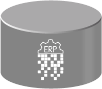 Enterprise Resource Planning