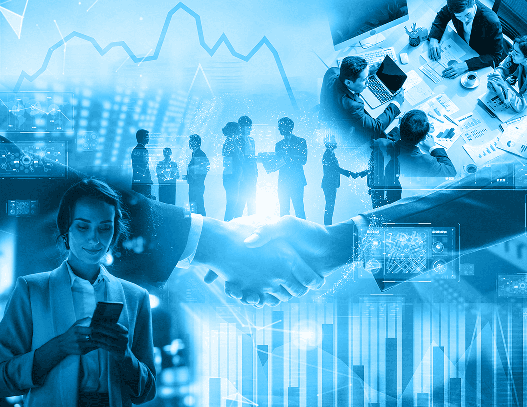 Business Management Software (BMS)