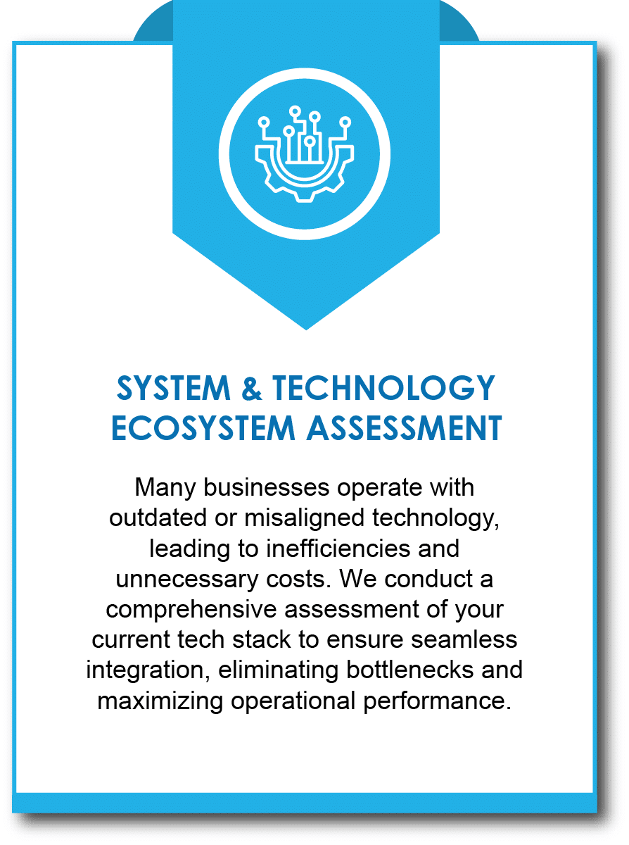 SYSTEM & TECHNOLOGY ECOSYSTEM ASSESSMENT